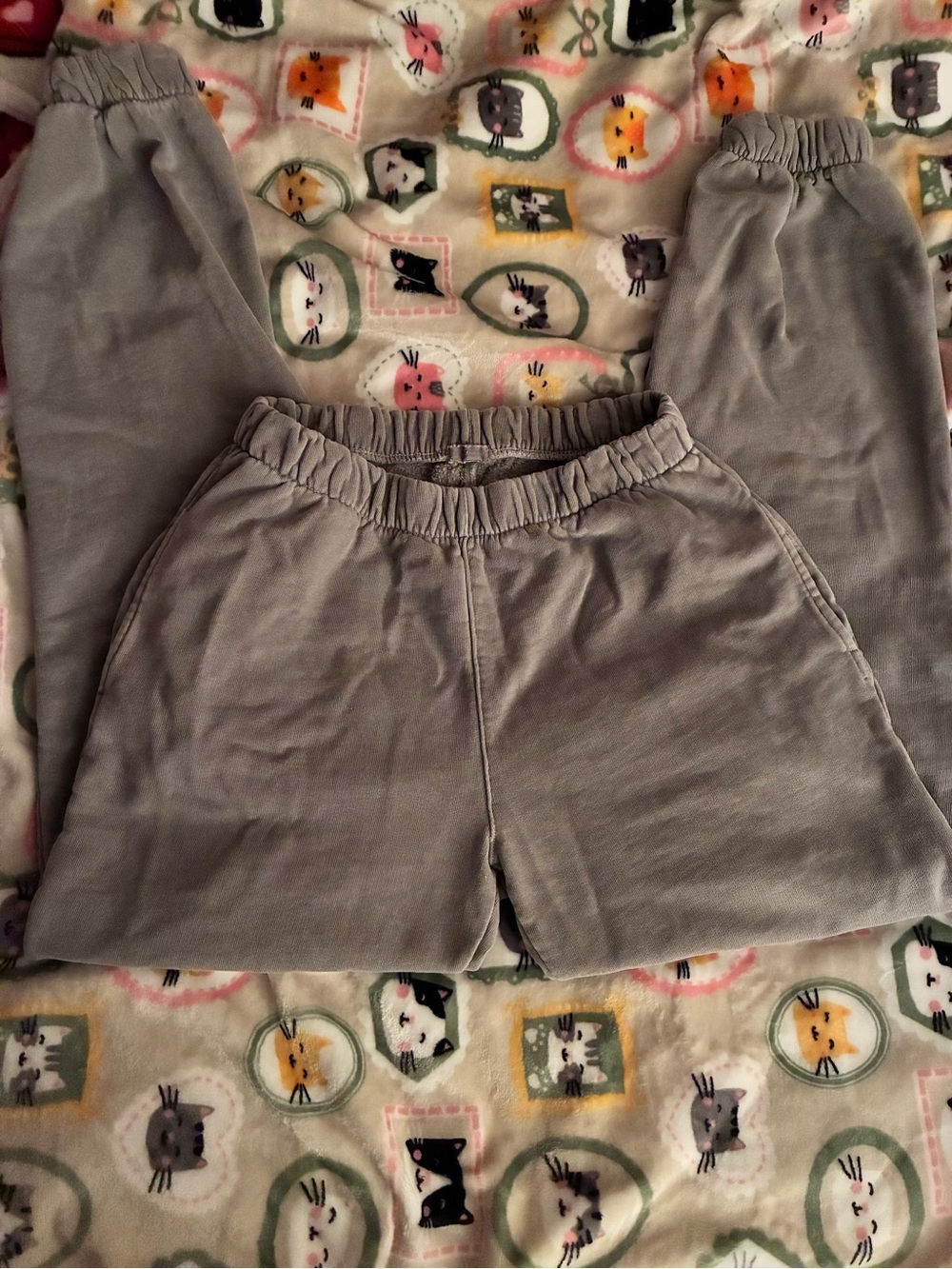 John Galt Ash Grey sweatpants